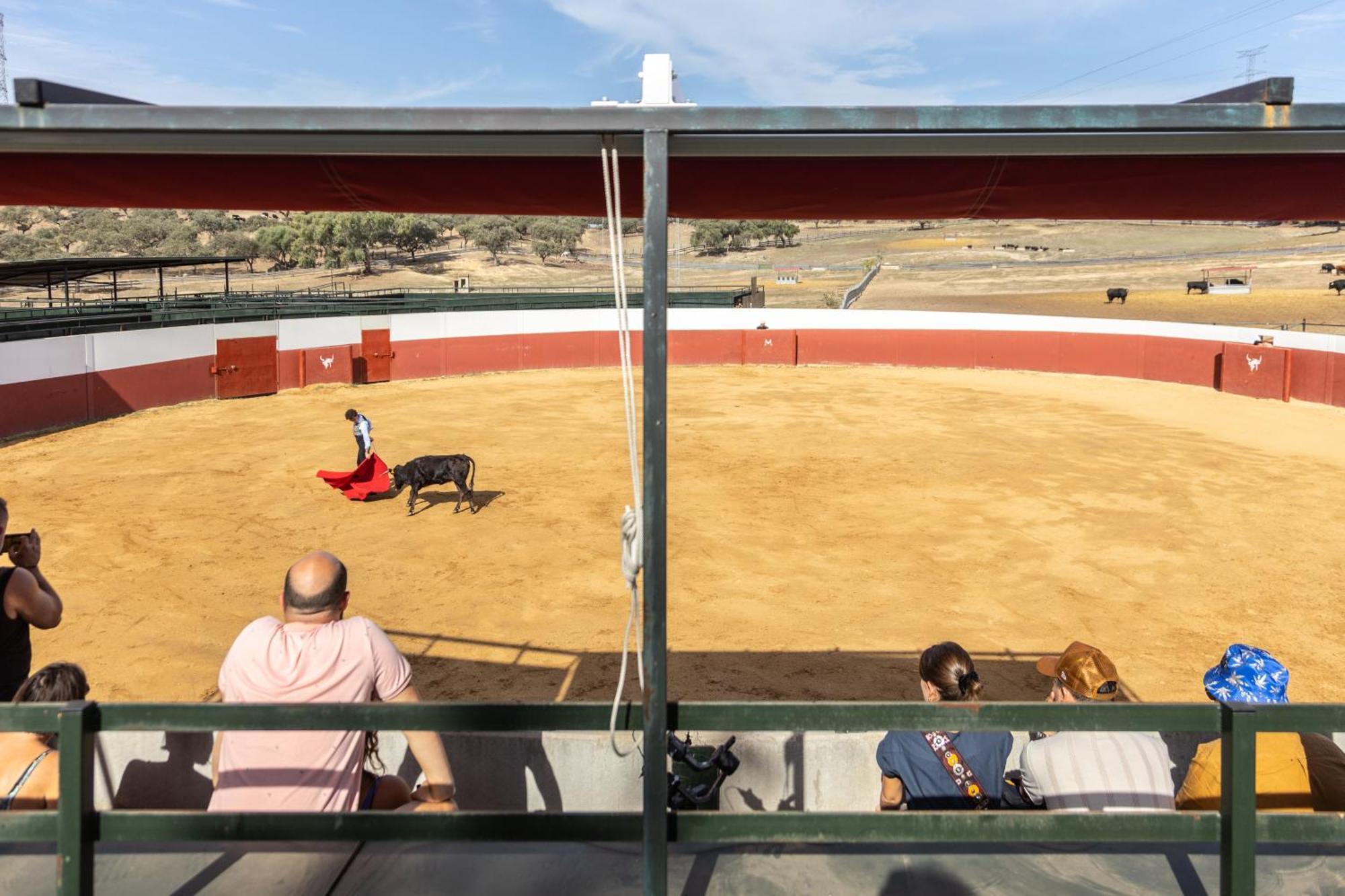 Hospedium Hotel Rural Virgen Maria Castilblanco de los Arroyos Εξωτερικό φωτογραφία